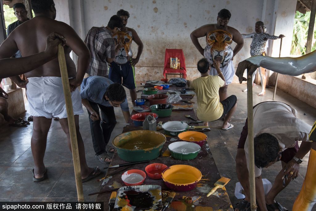 印度傳統(tǒng)虎舞的臺(tái)前幕后 表演者用顏料涂滿全身化身“猛虎”