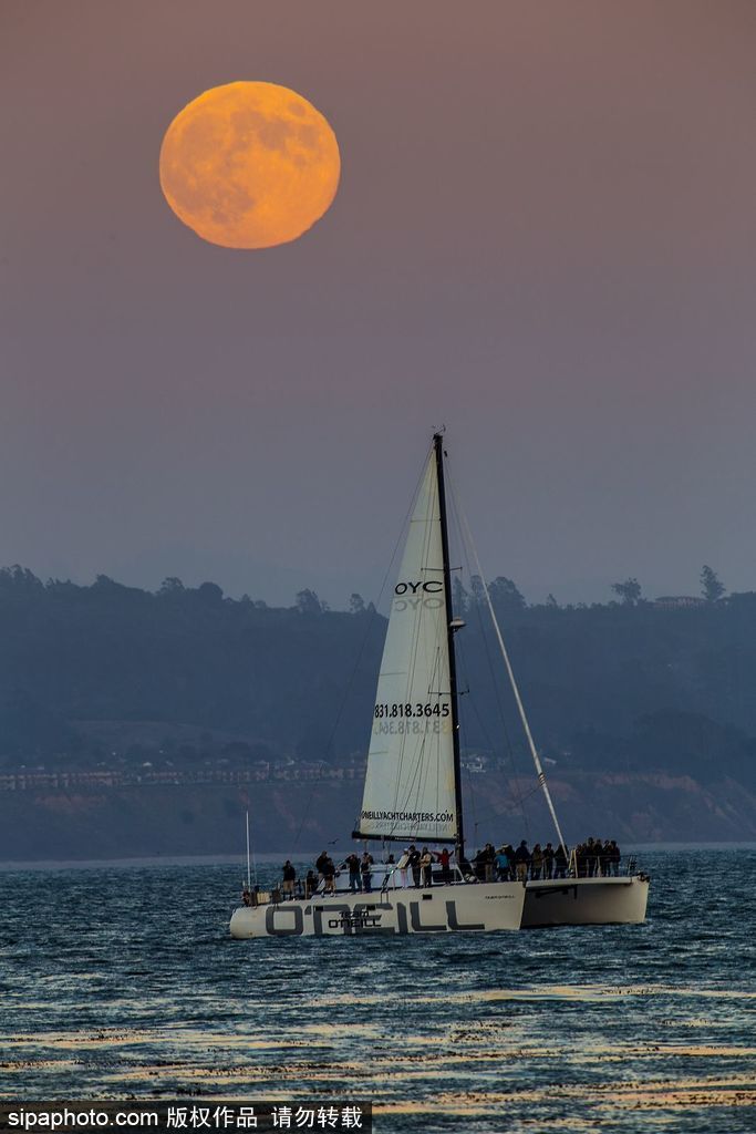 一切都與大海有關 沖浪攝影師獨特視角展示海洋魅力