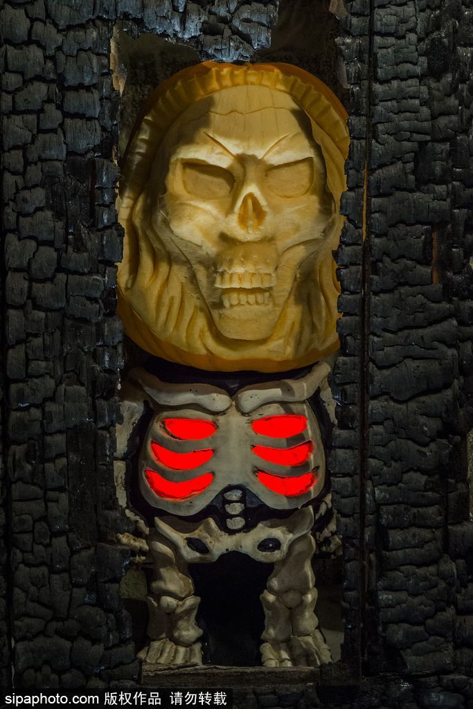 英國：萬圣節最新流行人臉南瓜 特朗普希拉里“上鏡”