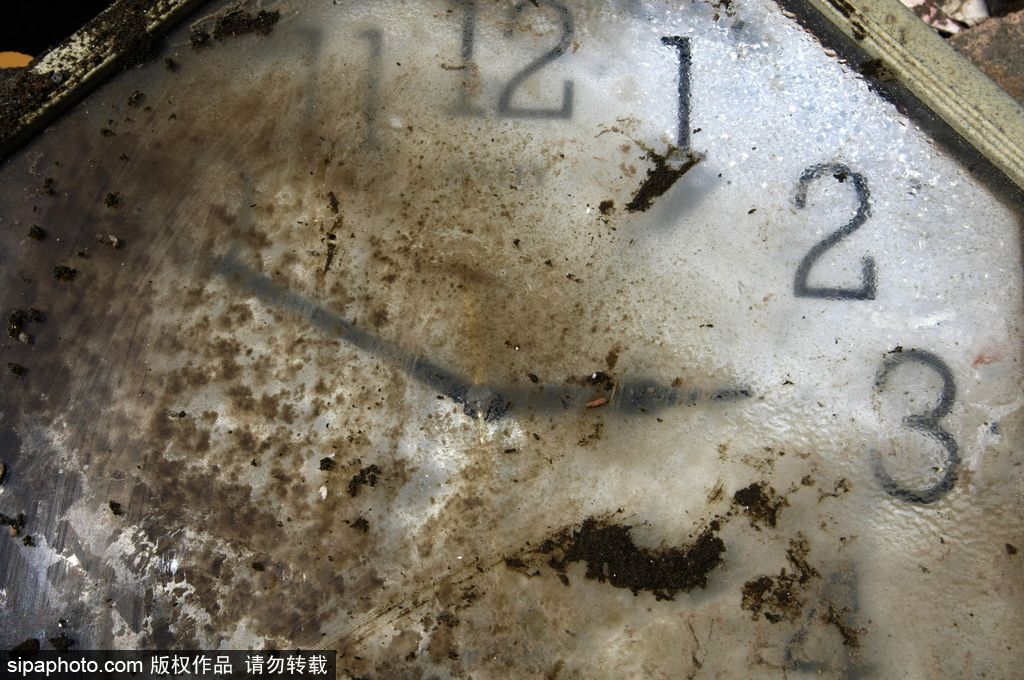 回顧福島隔離區3.11地震慘景 時隔五年地震再添創傷