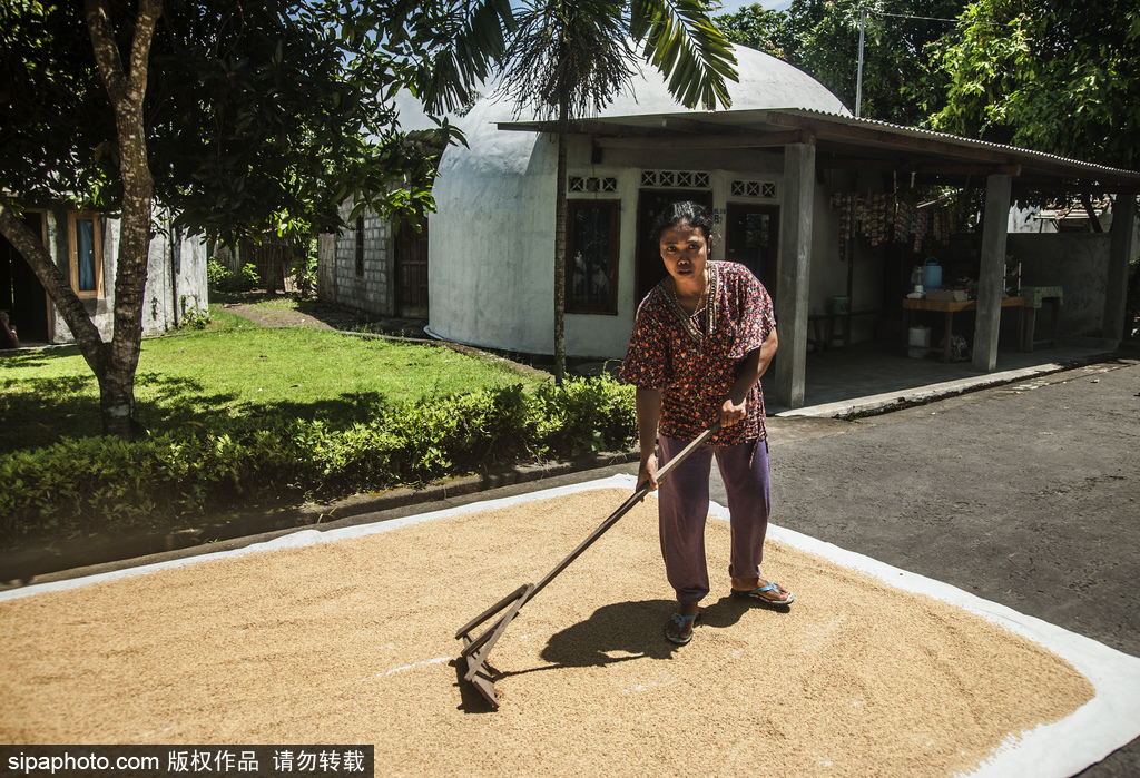 印尼海嘯十年后的災民村 圓頂房屋造型奇特成旅游景點