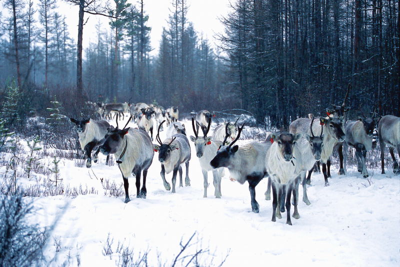 “中國冷極牛人”體驗賽在內蒙古拉開帷幕