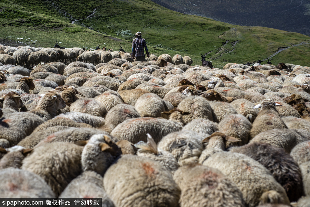 高加索深山里的古老村莊 原生態淳樸生活愜意悠閑