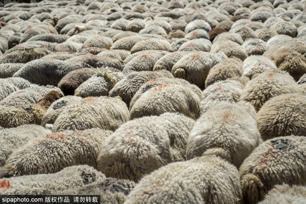 高加索深山里的古老村莊 原生態淳樸生活愜意悠閑