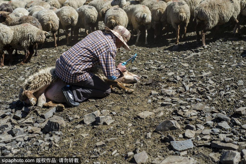高加索深山里的古老村莊 原生態淳樸生活愜意悠閑