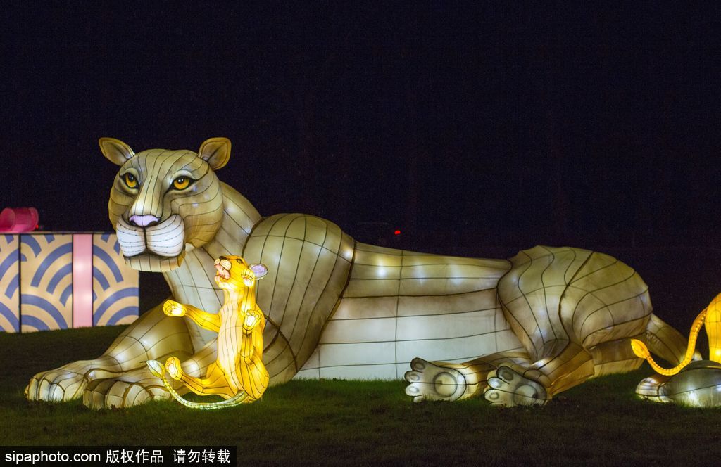 英國超大規模中國巨型燈籠會 豐富動物造型燈飾亮相