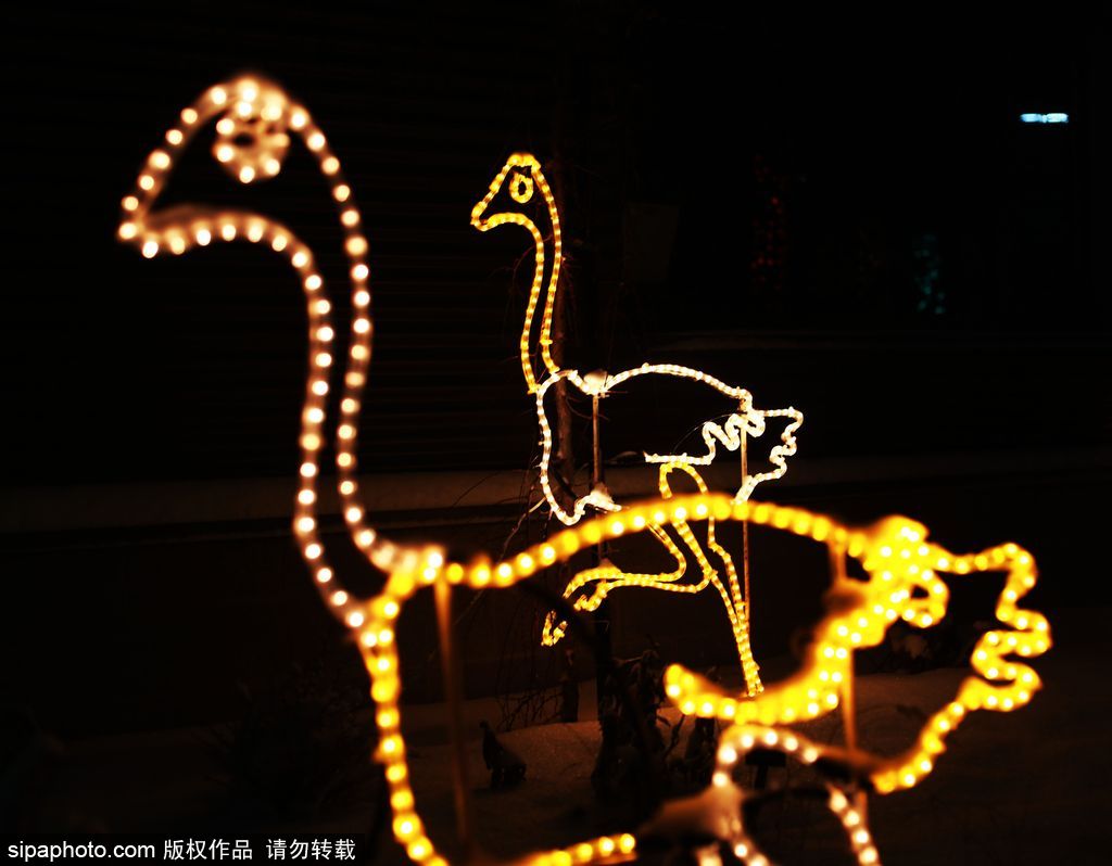 加拿大：卡爾加里公園亮起上萬彩燈迎接圣誕節 造型各異趣味十足