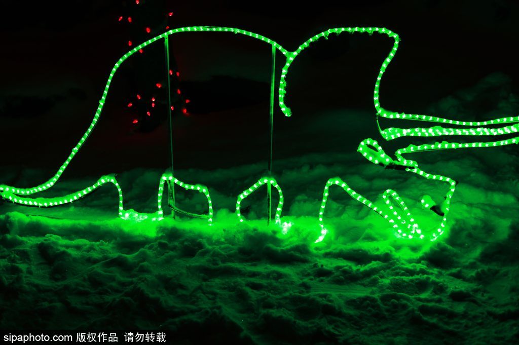 加拿大：卡爾加里公園亮起上萬彩燈迎接圣誕節 造型各異趣味十足