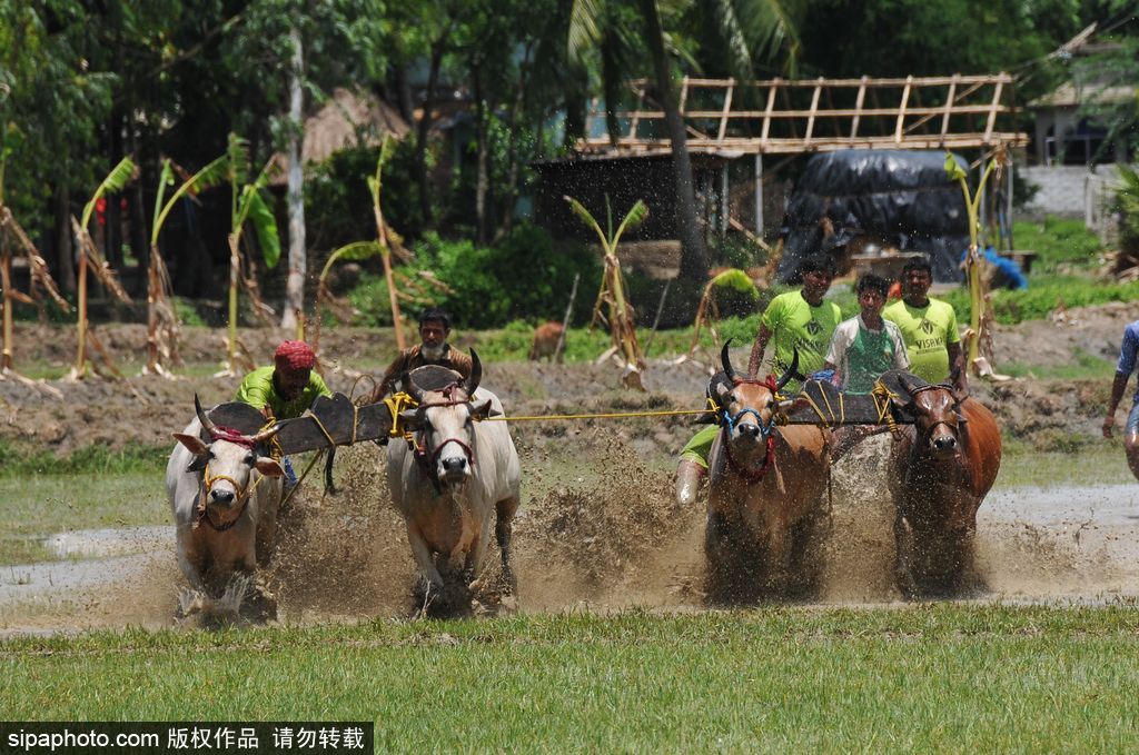 腦洞大過天！盤點(diǎn)全球各類奇葩比賽