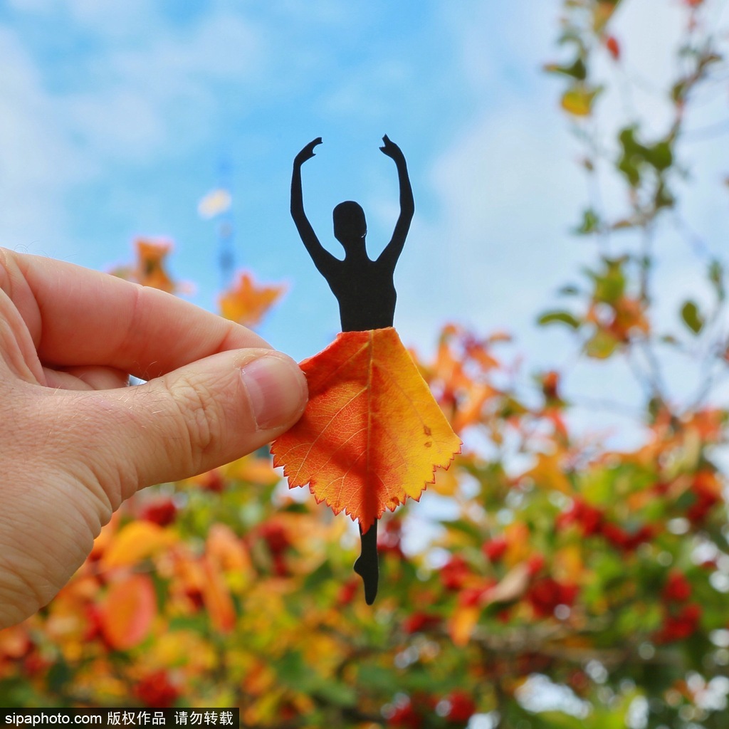 剪紙錯(cuò)位藝術(shù)趣味無(wú)窮 盤點(diǎn)度假勝地巧變創(chuàng)意作品