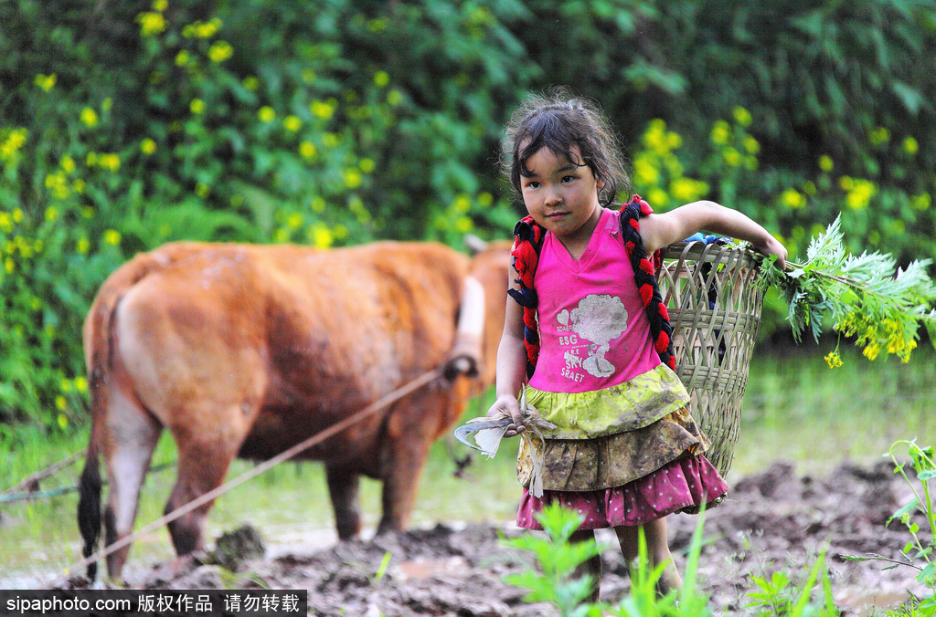 春回大地草木萌動(dòng) 盤點(diǎn)那些農(nóng)田光景返樸歸真