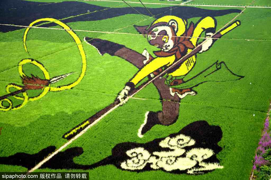 春回大地草木萌動 盤點那些農田光景返樸歸真