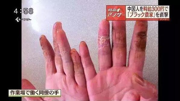 3000多名中國實(shí)習(xí)生在日本詭異