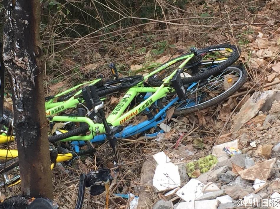 成都共享單車被燒毀 盤點N種被“玩壞”的共享單車