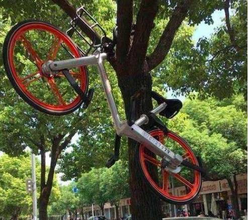 成都共享單車被燒毀 盤點N種被“玩壞”的共享單車