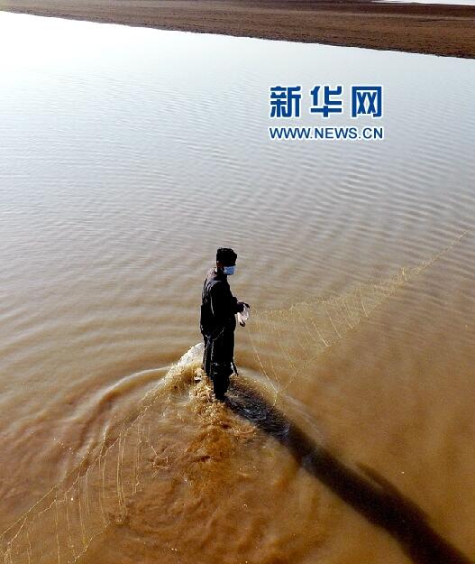 航拍黃河濟南段的捕魚人：隨波逐流亦生活（組圖）