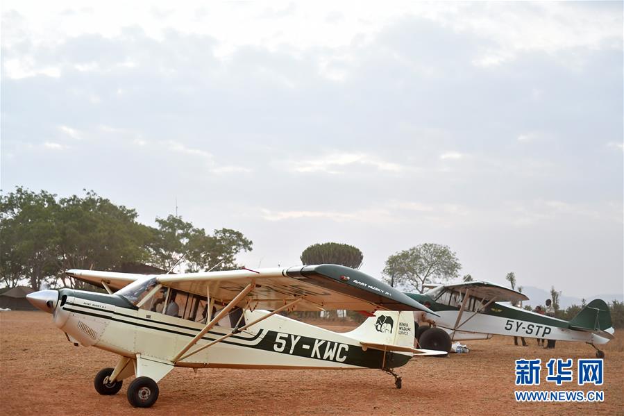 肯尼亞對野生動物進行“人口普查” 包含數量、遷徙路線和資源數據