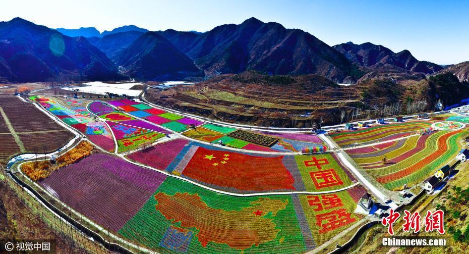 壯觀！北京密云100萬只風車拼出多彩畫卷