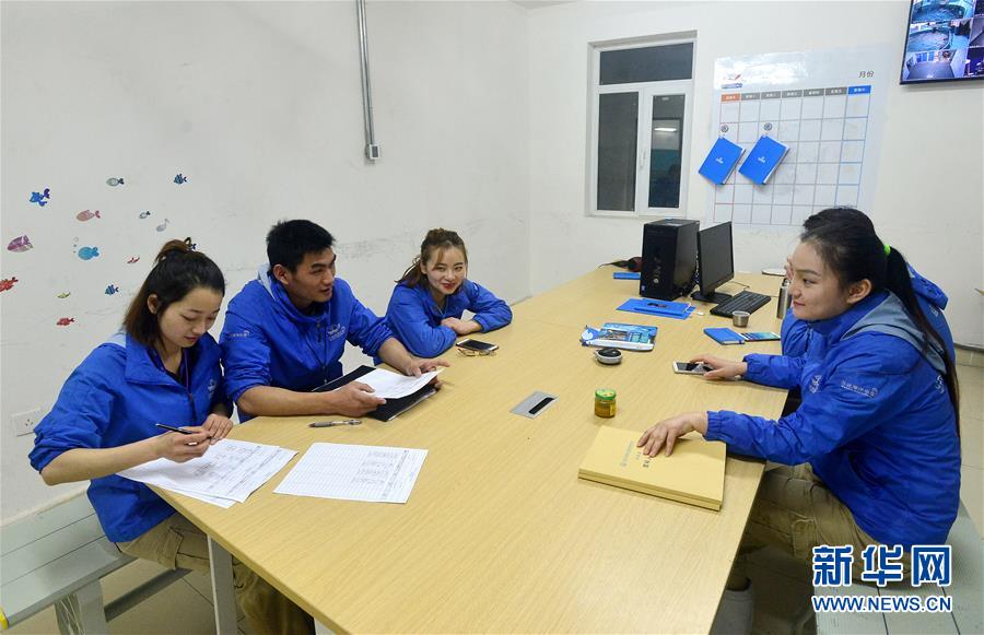 “海豚姑娘”的藍色追夢之旅