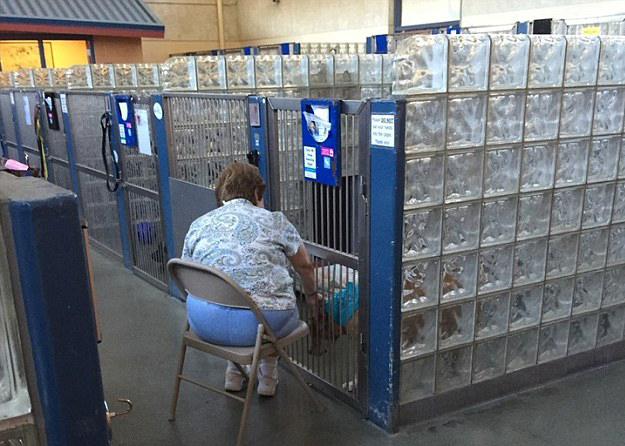 人間自有真情在！鏡頭記錄全球溫情瞬間（組圖）