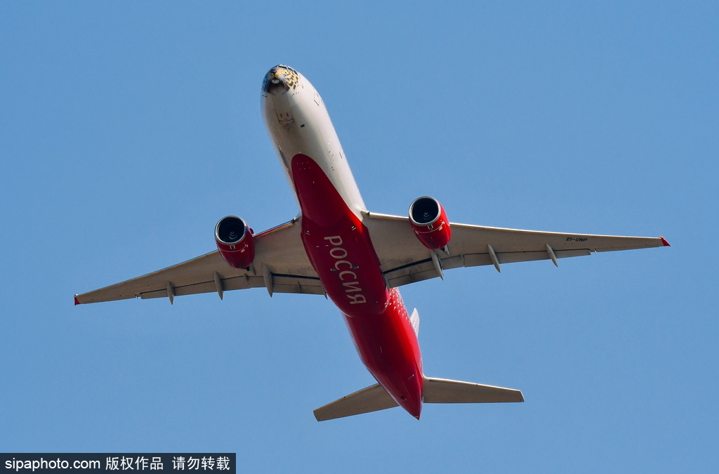一頭豹子飛過來！俄羅斯飛機繪遠東豹圖案萌態(tài)十足