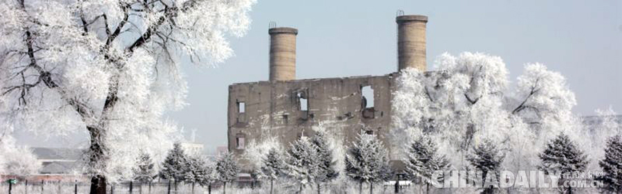 全國政協委員：支持侵華日軍“731”罪證檔案申報亞太地區《世界記憶名錄》