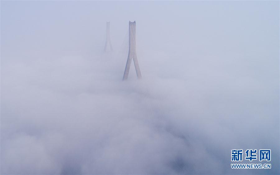 人間仙境！武漢現(xiàn)大霧天氣 高架橋宛如天路(組圖)