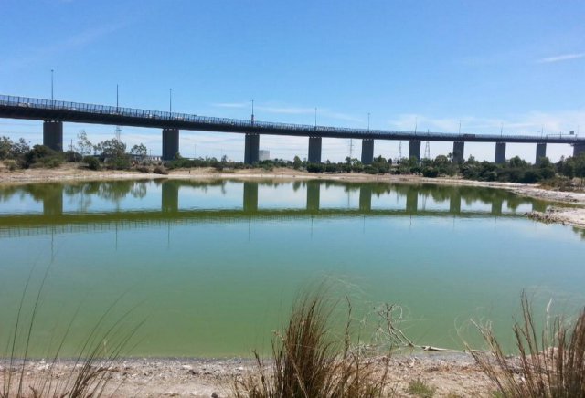 澳大利亞藍色鹽湖突變粉色 網友：可能戀愛了