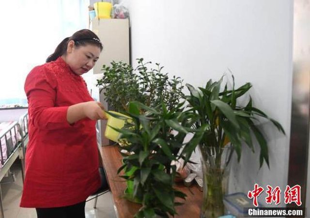 30歲女子一年瘦231斤 到底發(fā)生了什么？