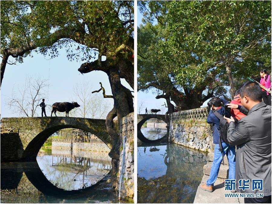 鄉(xiāng)村模特的“畫(huà)里畫(huà)外”