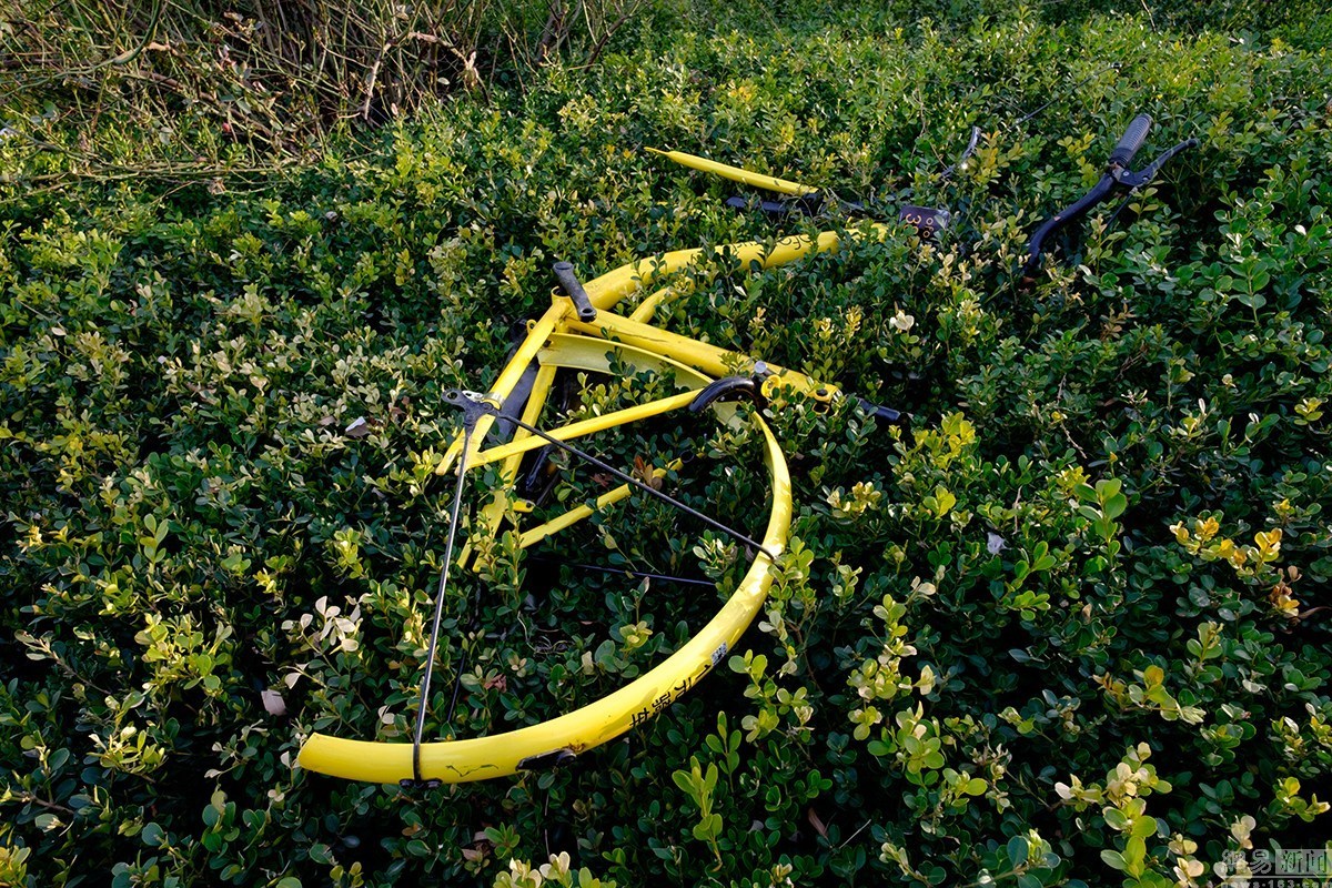 北京什剎海一共享單車被毀 只剩“骨架”