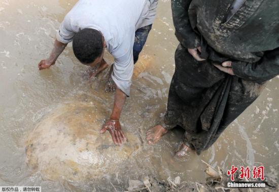 埃及現(xiàn)3000年巨型雕像 或為著名法老拉美西斯二世