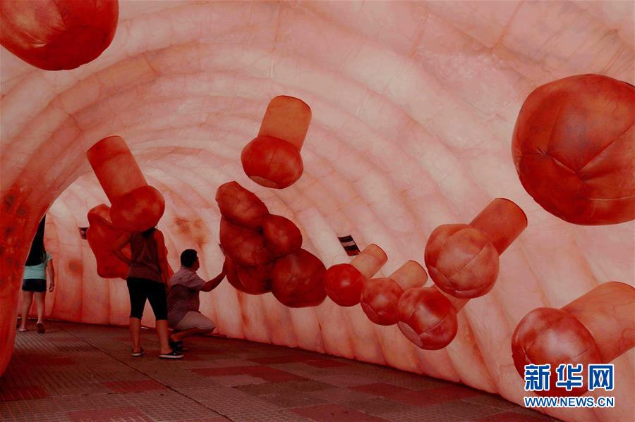 人造結腸示健康（圖）