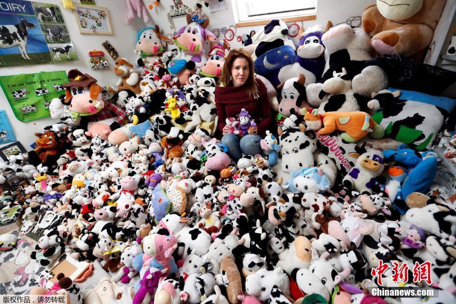 法國女?？釔凼占媾?與上千奶牛玩偶“同吃同住”