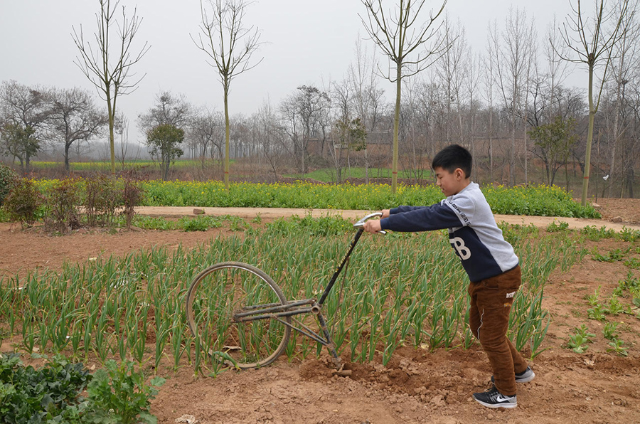 高手在民間！河南大爺改裝單車鋤地（圖）