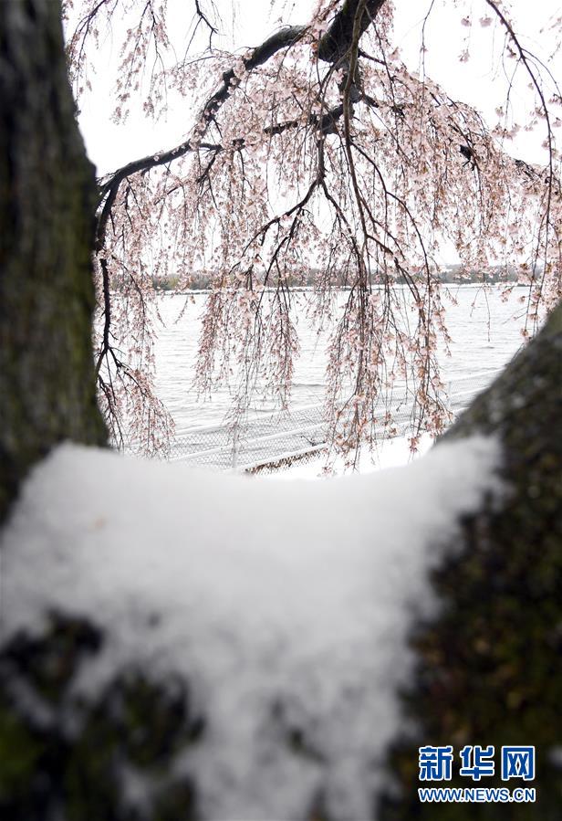 美國東北部遭遇暴風雪 數千航班取消（組圖）