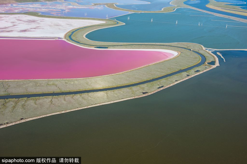 這才是上帝的調色盤！航拍美國鹽蒸發池色彩繽紛