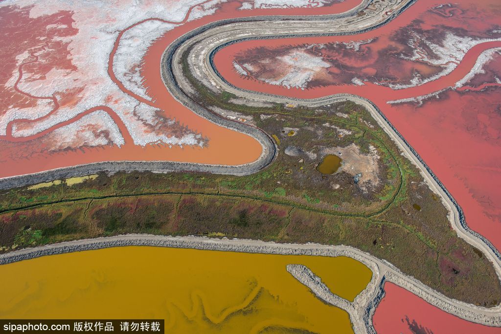 這才是上帝的調色盤！航拍美國鹽蒸發池色彩繽紛