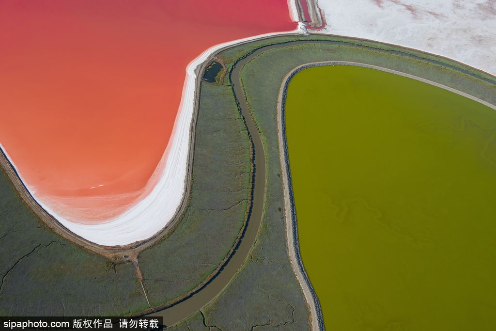 這才是上帝的調色盤！航拍美國鹽蒸發池色彩繽紛