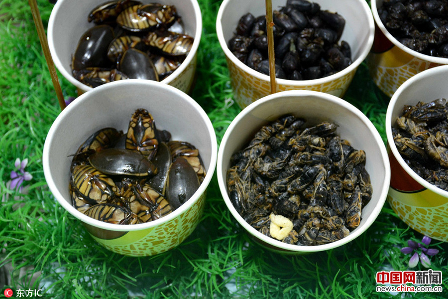 沈陽(yáng)街頭現(xiàn)重口味“昆蟲宴”(組圖)