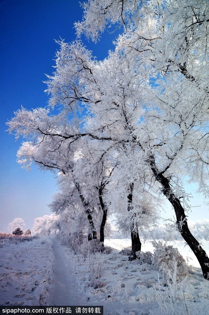 這個冬季太漫長？ 盤點霧凇冰掛美景讓你忘記季節時間