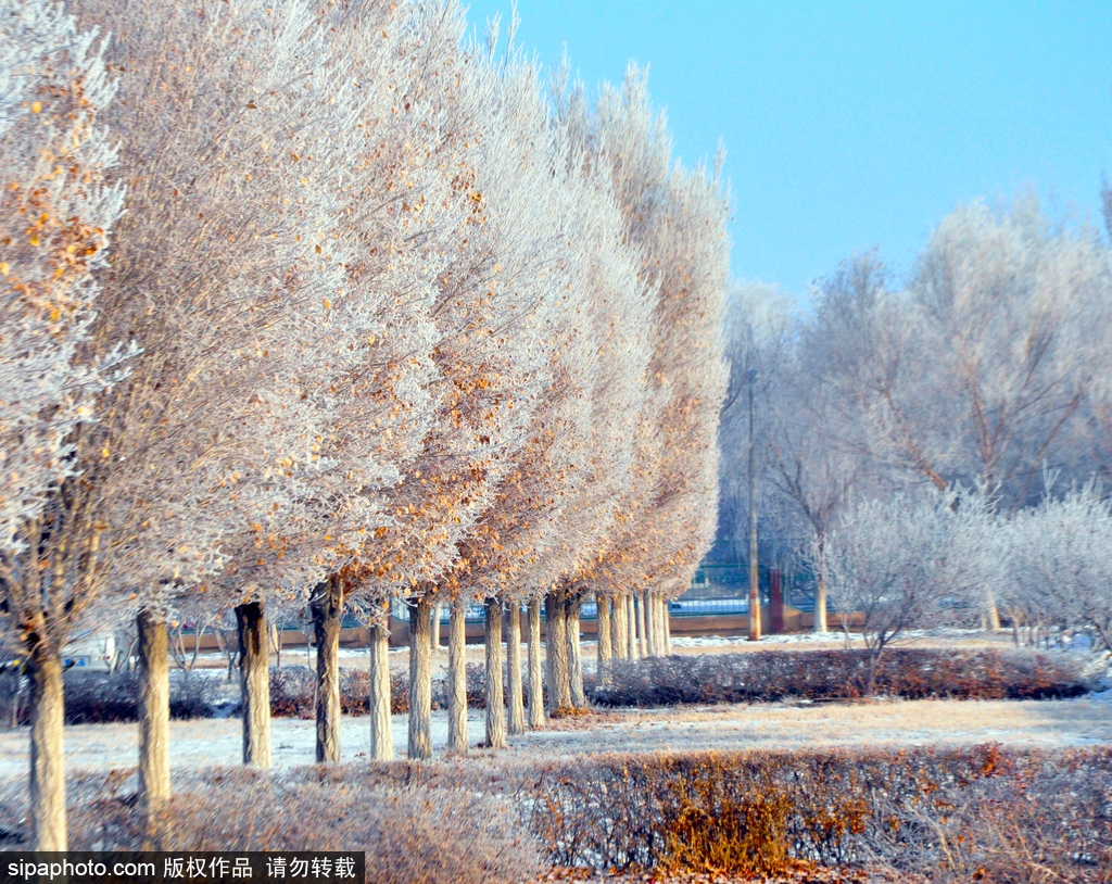 這個冬季太漫長？ 盤點霧凇冰掛美景讓你忘記季節時間
