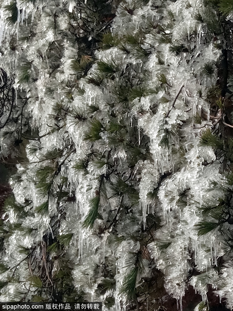 這個冬季太漫長？ 盤點霧凇冰掛美景讓你忘記季節時間