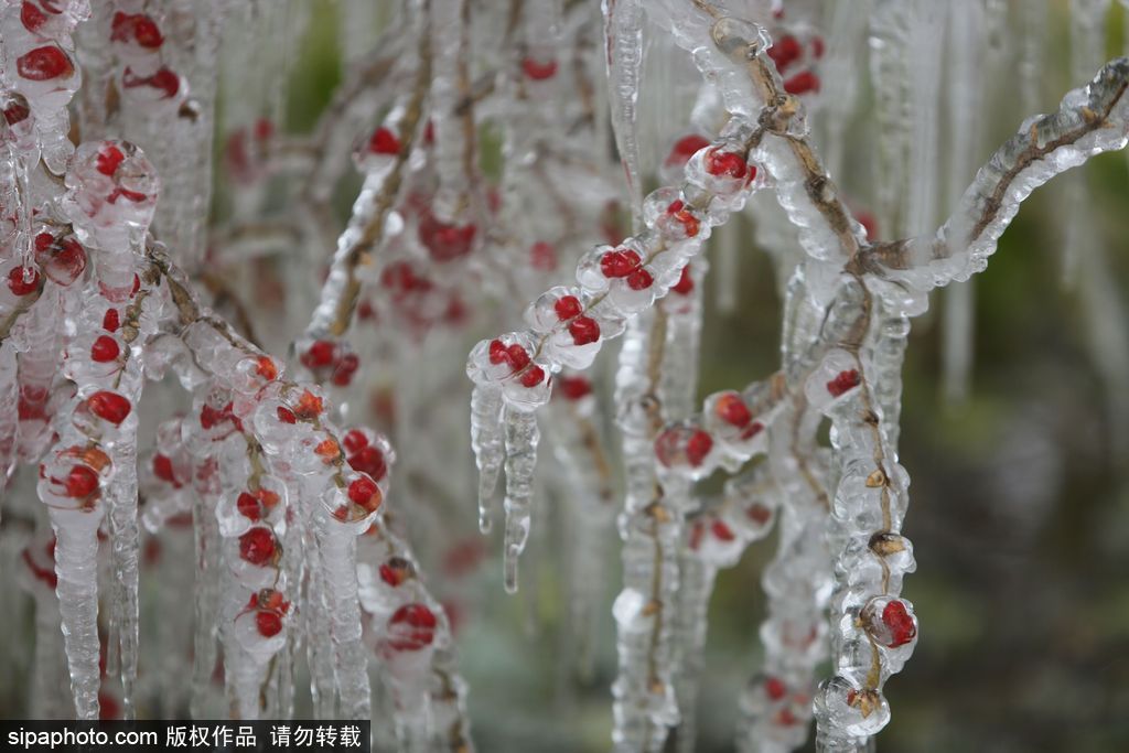 這個冬季太漫長？ 盤點霧凇冰掛美景讓你忘記季節時間
