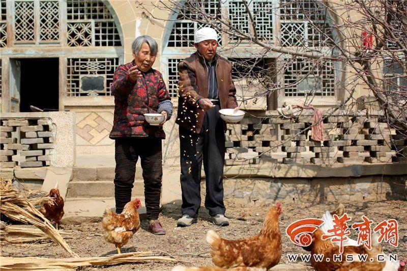 滿滿的都是愛！陜西米脂老夫妻耄耋之年拍婚紗照