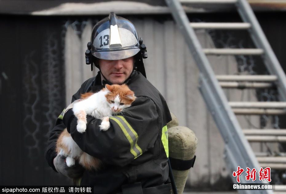 有愛！公寓樓天然氣爆炸 消防員救出被困小貓