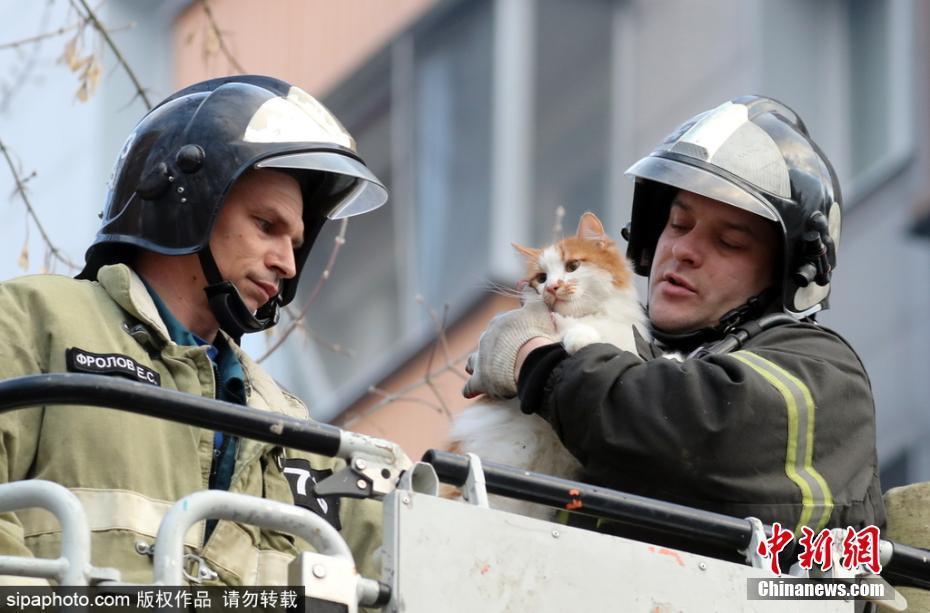 有愛！公寓樓天然氣爆炸 消防員救出被困小貓