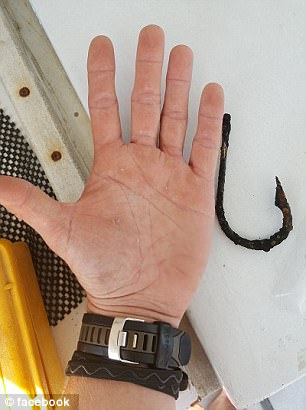 難以置信！鯊魚求救 讓潛水員拔出體內(nèi)鉤子