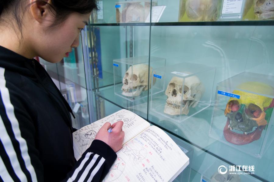 厲害了妹子！杭州大二女生解剖學筆記驚艷走紅