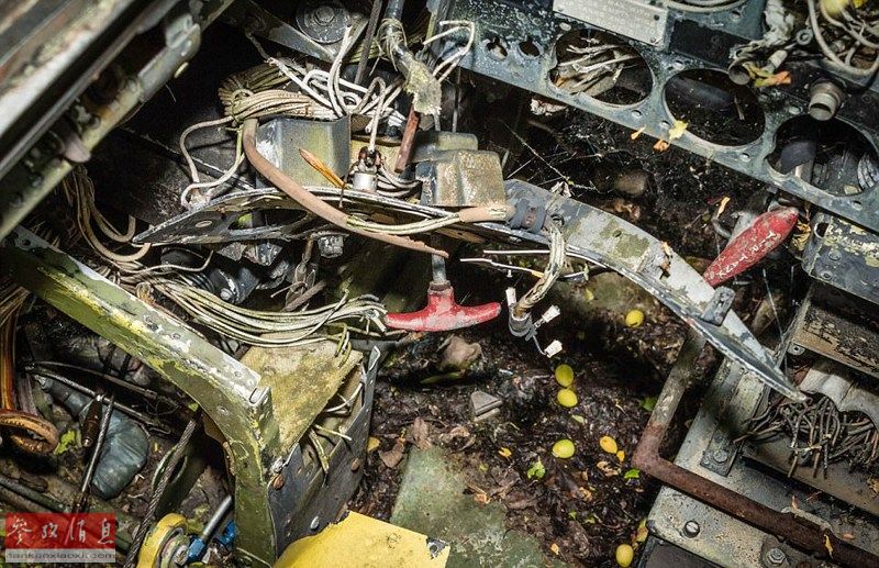 雜草叢生：歐洲最大廢棄空軍基地曝光